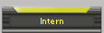 Intern
